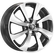 КС893 (ZV 16_XRAY)